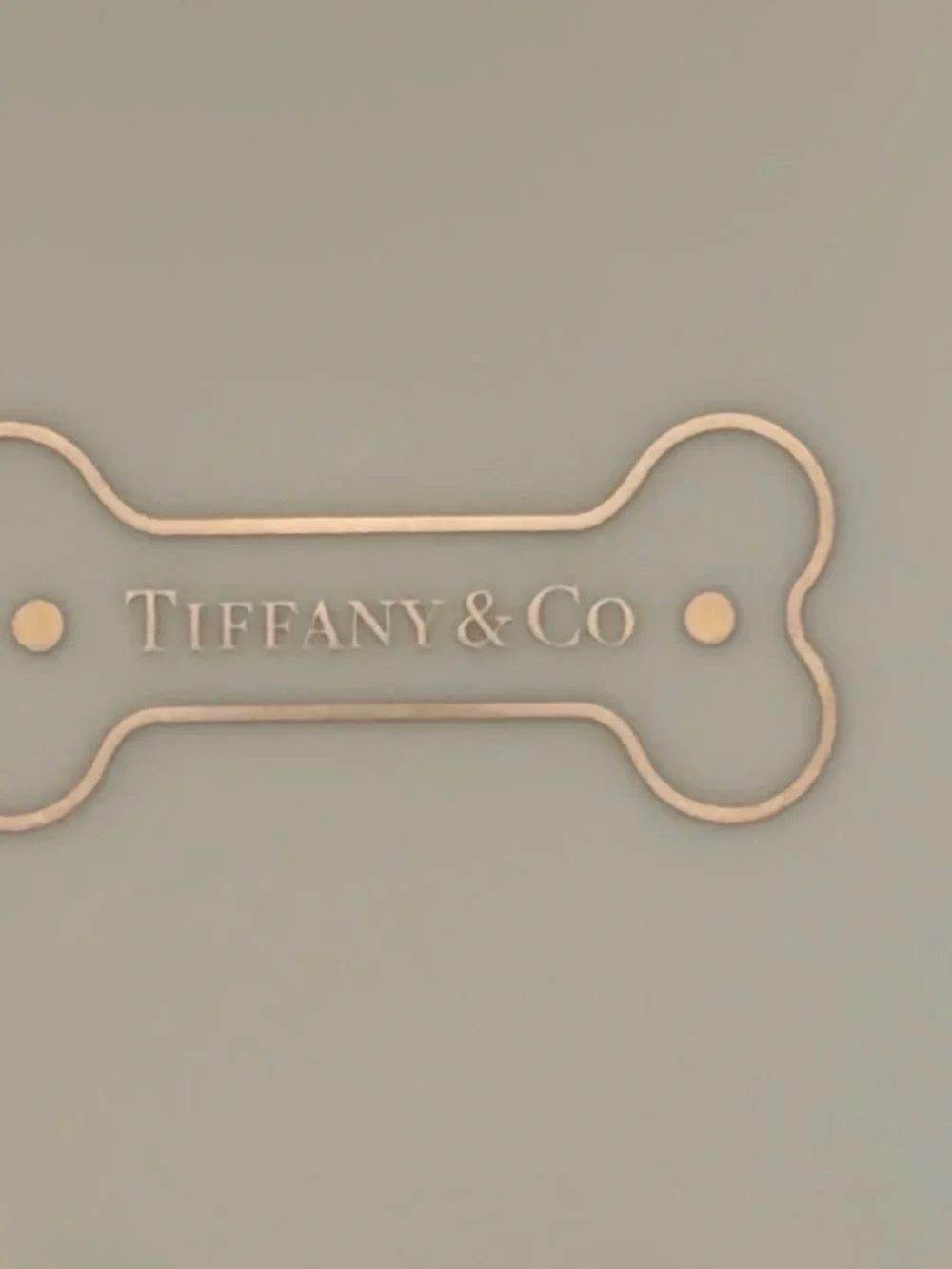 Brand new Tiffany & Co Dog Bowl in Large size - Picture 4 of 8